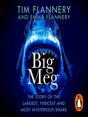 cover image of Big Meg